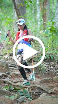 BIB:  <button type="button" onclick="openModal(27643970)" class="btn btn-primary btn-sm float-right" data-toggle="modal" data-target=".modal-high-quality">
                <i class="fa fa-download"></i> Download
                </button>